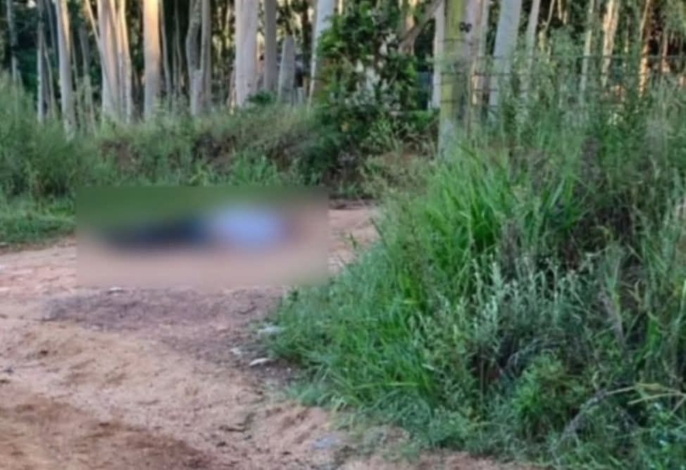 Homem é encontrado morto na divisa entre Viamão e&nbsp;Alvorada